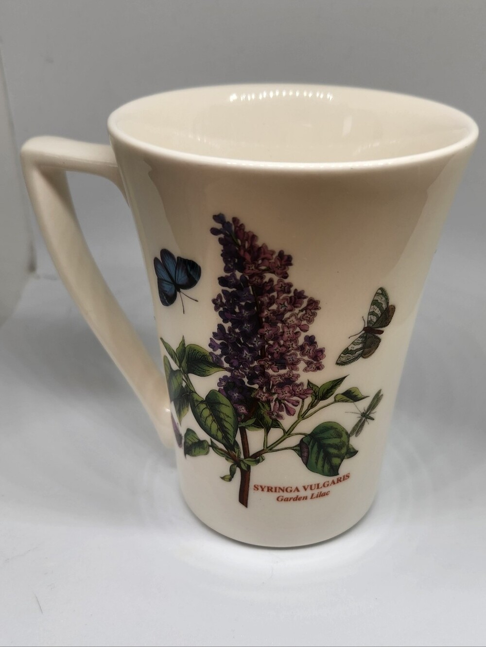Portmeirion Botanic Garden Garden Lilac Mug Syringa Vulgaris Made in England